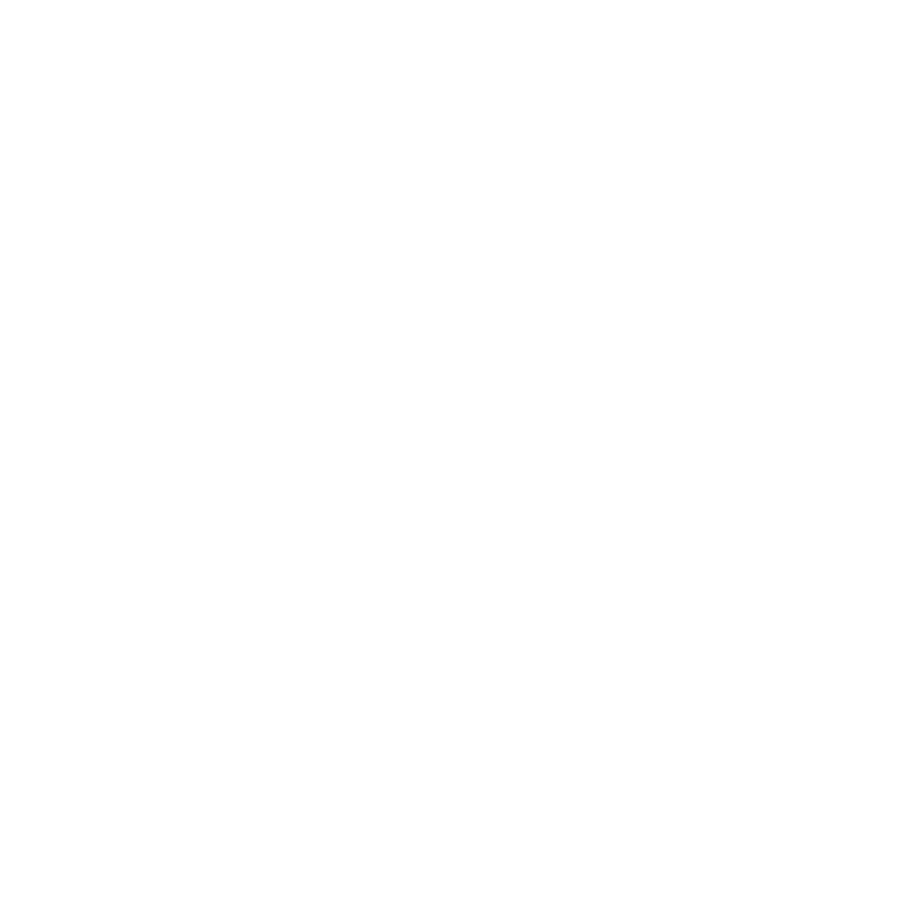 V icon